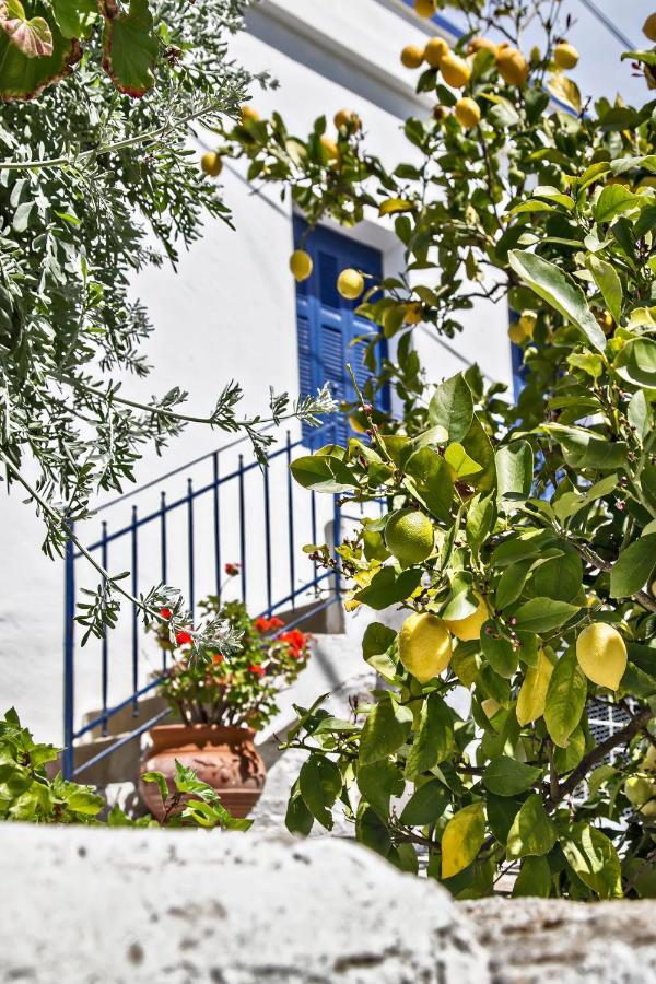 Christie S House Villa Skaladhos Ngoại thất bức ảnh